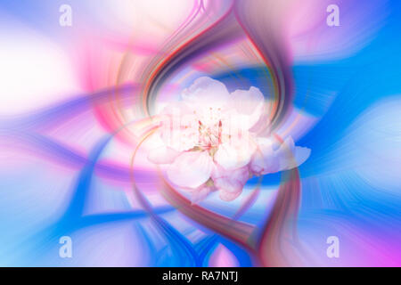 Farbenfrohe abstrakte twirl Wirkung Hintergrund mit Blume Stockfoto