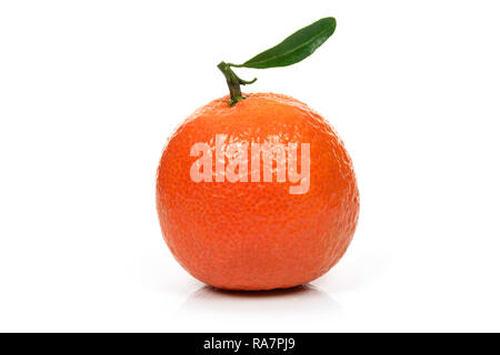 Single perfekte orange oder Mandarine frisches Obst mit Blatt auf einem weißen Hintergrund in Nahaufnahme Stockfoto