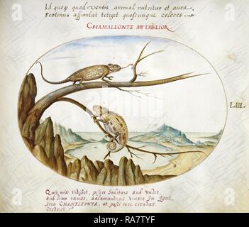 Joris Hoefnagel, Animalia Qvadrvpedia et Reptilia (Terra): Platte LIII, Flämisch, 1542-1600, C. 1575-1580, Aquarell neuerfundene Stockfoto