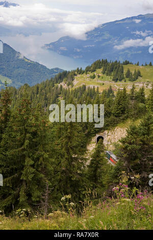 Blick von der Schynige Platte der Thunersee (Thunersee), mit der Schynige Platte Bahn in einem Tunnel unter der Stepfegg Stockfoto