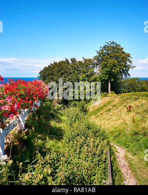 Pfad zu den Geranien mit Blick auf die Ostsee. In Lohme auf der Insel Rügen. Stockfoto