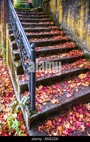 Treppe mit geschmiedeten geschnitzten Geländer und moosigen Mauer, die zu das Haus auf dem Hügel, mit Herbst rote Ahornblätter abgedeckt Stockfoto