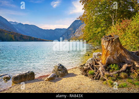 Bohinj See, Nationalpark Triglav, Julische Alpen, Slowenien Stockfoto