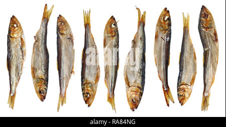 Neun ganz heiß geräuchert Lodde saury Sprotten in der Ostsee Fische mit Kopf und Eingeweide-traditionelle litauische Bier Snack. Auf weissem Studio ma Isoliert Stockfoto