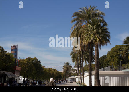 Ein Blick auf die Promenade entlang der Guadalquivir, der wichtigste Fluss von Sevilla, Spanien. Dieser Weg ist mit mehreren Palmen dekoriert. Stockfoto