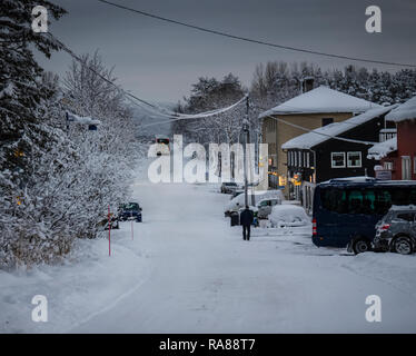 Starker Schneefall bei Finnsnes, Norwegen. Stockfoto