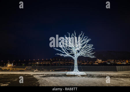 Festlich beleuchtete Baum, Tromso, Norwegen. Stockfoto