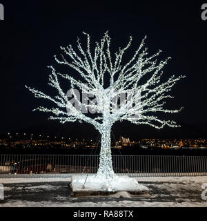 Festlich beleuchtete Baum, Tromso, Norwegen. Stockfoto