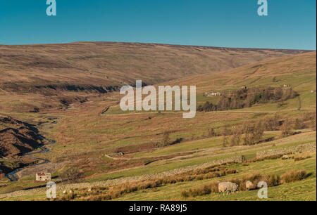 North Pennines AONB Panoramablick auf die Landschaft, Blick Richtung Hudeshope Kopf, Teesdale in starken Winter Sonnenschein und strahlend blauer Himmel Stockfoto