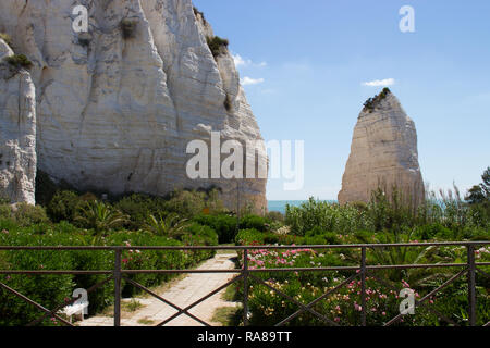 Es ist der bekannteste Strand von Vieste. Es nimmt den Namen Pizzomunno, vom großen Monolith in weißen Kalkstein, die steht in der Nähe der Felsen, wo die Stockfoto