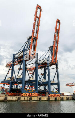 ROTTERDAM - 23.August 2017: Versand Krane in einem Container Terminal im Hafen von Rotterdam. Stockfoto