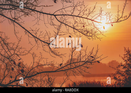 Am frühen Morgen, Sonnenaufgang über dem See. Misty Morning, ländliche Landschaft Stockfoto