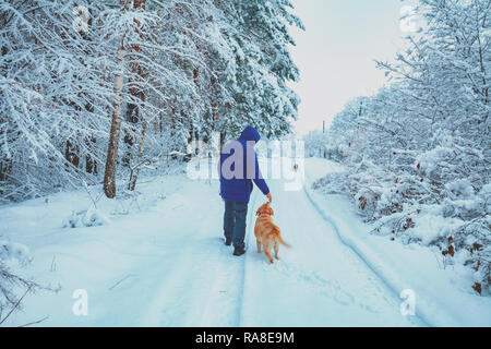 Mann mit Labrador Retriever Hund Wandern auf dem verschneiten Land Straße im Winter Stockfoto