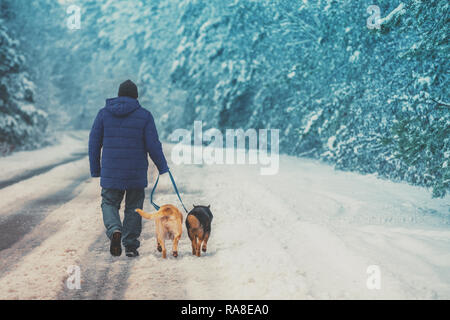 Mann mit zwei Hunde auf verschneiten Land Straße im Winter. Stockfoto