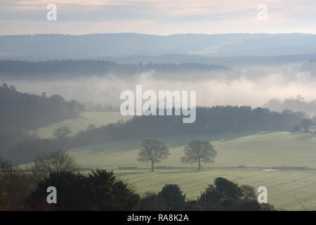 Blick nach Süden von Newlands Ecke albury Surrey Stockfoto