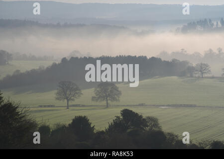 Blick nach Süden von Newlands Ecke albury Surrey Stockfoto