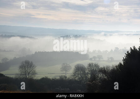 Blick nach Süden von Newlands Ecke albury Surrey Stockfoto