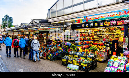 Souvenirläden an der berühmten Bloemenmarkt (Blumenmarkt) entlang der Singel Kanal im Zentrum von Amsterdam in den Niederlanden Stockfoto