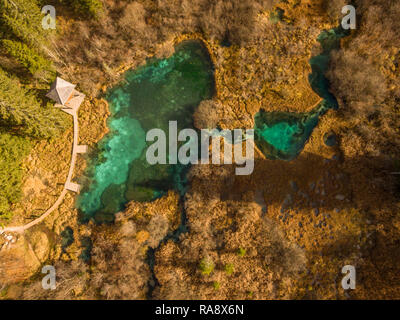 Luftbild der magischen Landschaft von Antenne Drone, Zelenci, Slowenien gesehen. Stockfoto