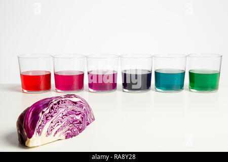 Farbverlauf von rotkohl Saft (pH-Indikator) in durchsichtig Gläser auf weißem Hintergrund Stockfoto