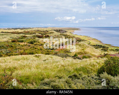 Panorama von Dünen und Wattenmeer Küste von Naturschutzgebiet "Het Oerd auf die Westfriesische Insel Ameland, Friesland, Niederlande Stockfoto