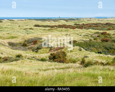 Panorama von Dünen und Nordsee Küste von Naturschutzgebiet "Het Oerd auf die Westfriesische Insel Ameland, Friesland, Niederlande Stockfoto