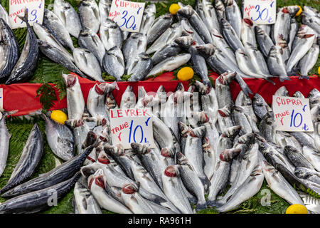 Wolfsbarsch, Bonito und Seebarsch im Counter in der Fischmarkt sind bereit zum Verkauf. Warten auf den Kunden über den Preis und Zitrone. Stockfoto