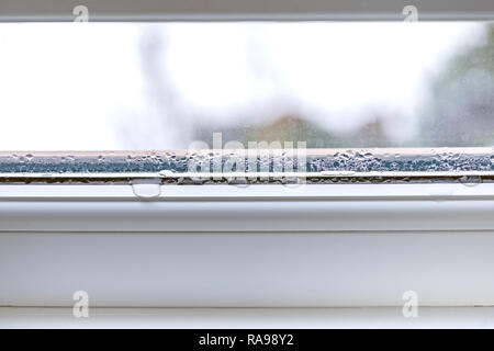 Kondensation auf Glas Detailansicht PVC-Fenster mit Doppelverglasung  Stockfotografie - Alamy