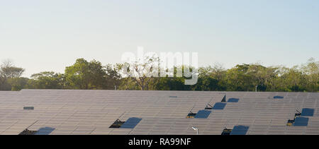 Solarzellen auf blauen Himmel Hintergrund mit grünen Bäumen, Stockfoto