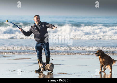 Ein Mann mit einem Ball thrower Mit seinem Haustier Hunde auf den Fistral Beach in Newquay in Cornwall. Stockfoto