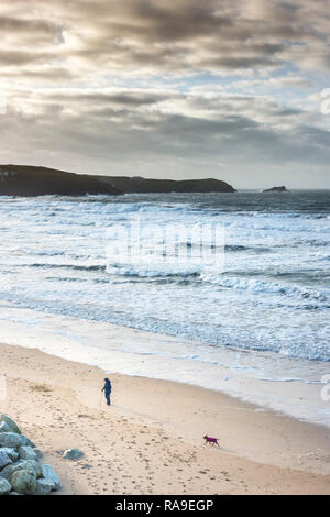 Ein Mann seinen Hund Fistral Beach am Abend. Stockfoto