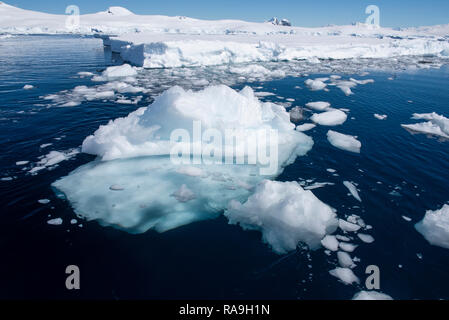 Antarktis, Antarktische Halbinsel, Nördliche Gerlache, gerlache Gerade. Eis gefüllt Bay. Stockfoto