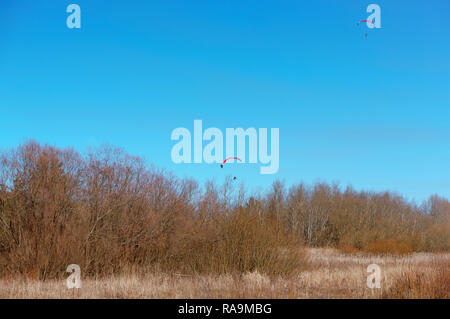 Gleitschirme in der Himmel über dem Wald, zwei gleitschirme schweben über den Bäumen Stockfoto