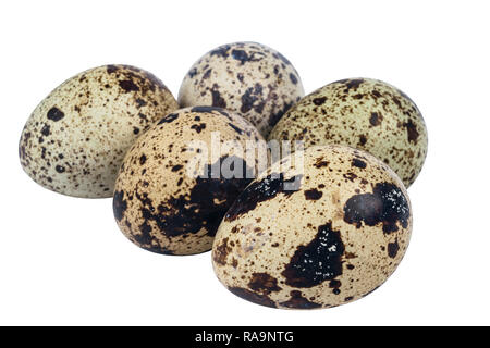 Isolierte Wachteleier. Große Sammlung von der Wachtel Eier auf einem weißen Hintergrund. Stockfoto