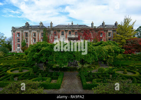 , Wisteria Kreis, Acer palmatum, Terrasse, Gärten, Bantry House & Gardens, West Cork Garden Trail, RM Floral Stockfoto