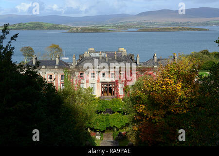 , Wisteria Kreis, Acer palmatum, Terrasse, Gärten, Bantry House & Gardens, West Cork Garden Trail, RM Floral Stockfoto