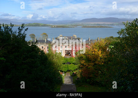 , Wisteria Kreis, Acer palmatum, Terrasse, Gärten, Bantry House & Gardens, West Cork Garden Trail, RM Floral Stockfoto