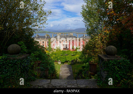 , Wisteria Kreis, Acer palmatum, Terrasse, Gärten, Bantry House & Gardens, West Cork Garden Trail, RM Floral Stockfoto