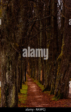 Der Enge Pfad zu den berühmten Park Vrelo Bosne im Herbst in Bosnien und Herzegowina Stockfoto