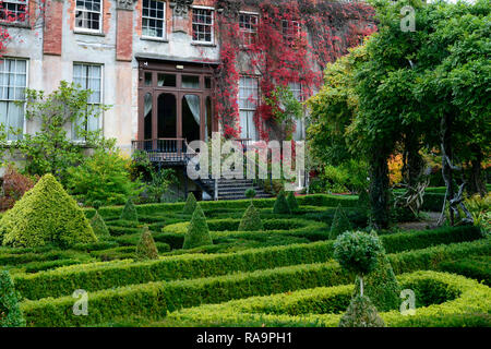 , Wisteria Kreis, Acer palmatum, Terrasse, Gärten, Banrty Haus und Gärten, West Cork Garden Trail, RM Floral Stockfoto