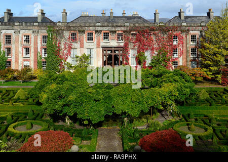 , Wisteria Kreis, Acer palmatum, Terrasse, Gärten, Bantry House & Gardens, West Cork Garden Trail, RM Floral Stockfoto