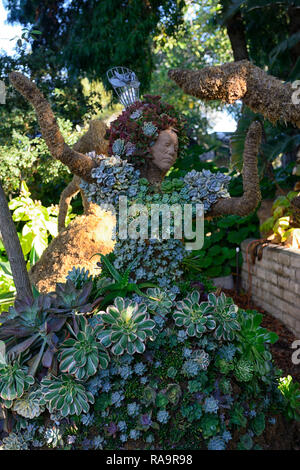 Mariachi Formgehölze, San Diego Botanischer Garten, Quail Botanical Gardens, Kalifornien, saftig, Sukkulenten, Garten, Design, Kunst, Installation, Wohnen, growin Stockfoto