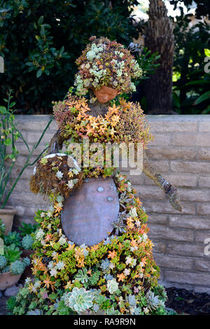 Mariachi Formgehölze, San Diego Botanischer Garten, Quail Botanical Gardens, Kalifornien, saftig, Sukkulenten, Garten, Design, Kunst, Installation, Wohnen, growin Stockfoto