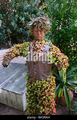 Mariachi Formgehölze, San Diego Botanischer Garten, Quail Botanical Gardens, Kalifornien, saftig, Sukkulenten, Garten, Design, Kunst, Installation, Wohnen, growin Stockfoto