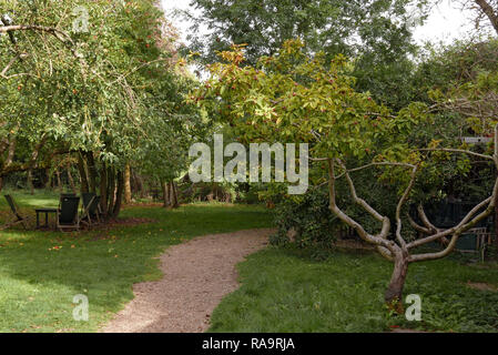 Der Obstgarten Tea Garden Grantchester Stockfoto