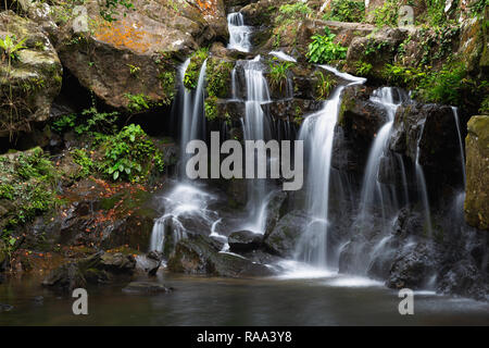 Thac Gio Wasserfall, Botanischen Gärten im Phong Nha, Vietnam, Asien Stockfoto