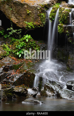 Thac Gio Wasserfall, Botanischen Gärten im Phong Nha, Vietnam, Asien Stockfoto