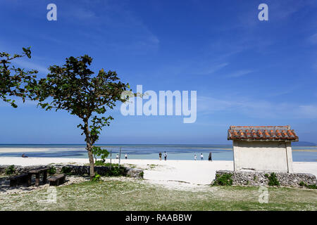 Einsamer Baum an spektakulären weißen Korallensand und klaren türkisfarbenen Wasser auf Kondoi Strand, taketomi Insel, yaeyama Inseln, in der Präfektur Okinawa, Japan Stockfoto