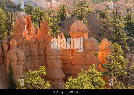 Bryce Canyon National Park, Utah, USA. Erodieren Kalkstein Canyons und Felsformationen bekannt als Flossen und Hoodoos. Stockfoto