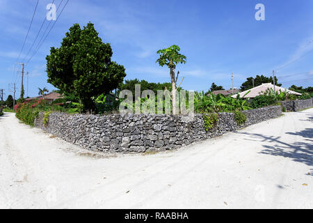 Straße mit traditionellen Steinmauern im Tropical island Taktomi in Japan Stockfoto